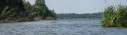 cej2007-17.jpg