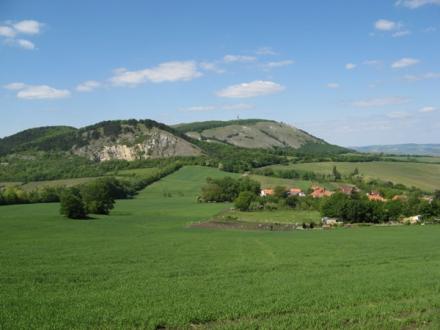 cej2007-19.jpg