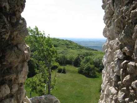 cej2007-21.jpg