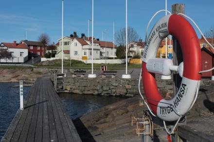 swe_40.jpg